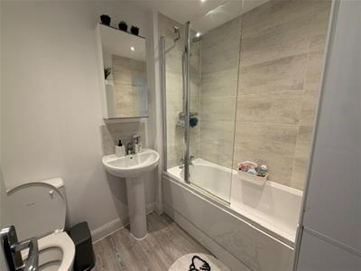 Picture 11
